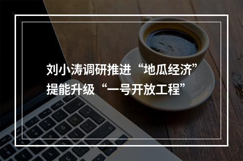 刘小涛调研推进“地瓜经济”提能升级“一号开放工程”