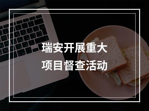 瑞安开展重大项目督查活动