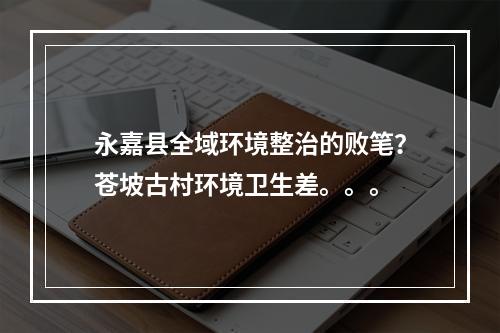永嘉县全域环境整治的败笔？苍坡古村环境卫生差。。。