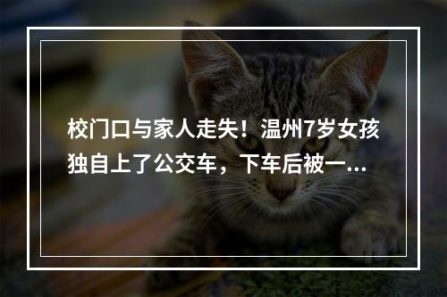 校门口与家人走失！温州7岁女孩独自上了公交车，下车后被一辆车尾随着……