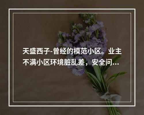 天盛西子-曾经的模范小区。业主不满小区环境脏乱差，安全问题突出，要求成立业委会！