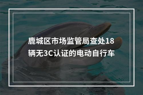 鹿城区市场监管局查处18辆无3C认证的电动自行车