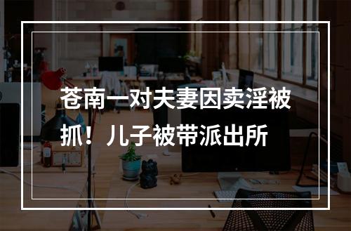 苍南一对夫妻因卖淫被抓！儿子被带派出所