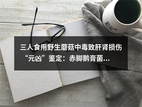 三人食用野生蘑菇中毒致肝肾损伤 “元凶”鉴定：赤脚鹅膏菌、灰花纹鹅膏菌