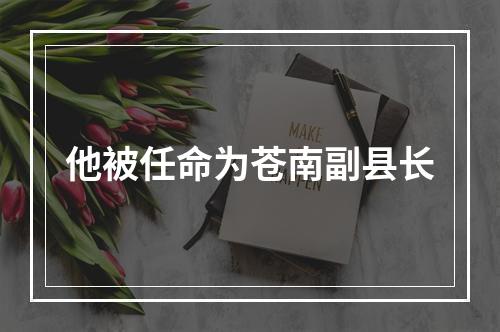 他被任命为苍南副县长