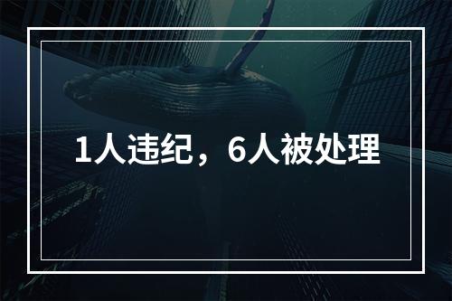 1人违纪，6人被处理