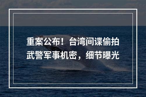 重案公布！台湾间谍偷拍武警军事机密，细节曝光