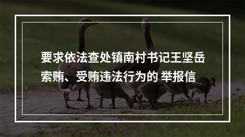 要求依法查处镇南村书记王坚岳索贿、受贿违法行为的 举报信