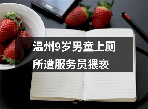 温州9岁男童上厕所遭服务员猥亵