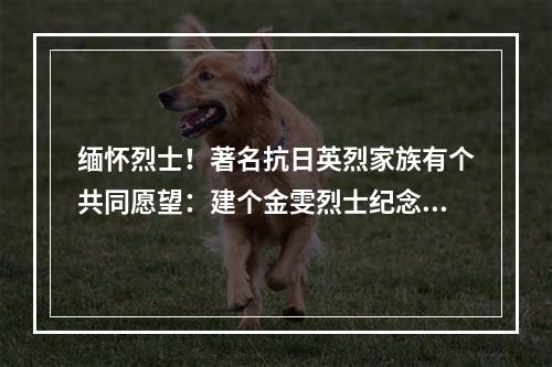 缅怀烈士！著名抗日英烈家族有个共同愿望：建个金雯烈士纪念馆