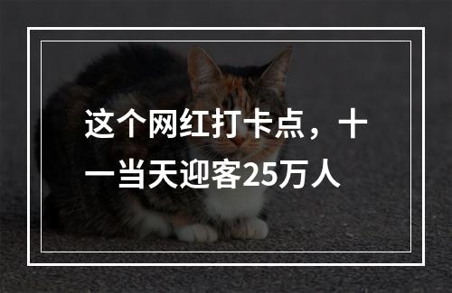 这个网红打卡点，十一当天迎客25万人