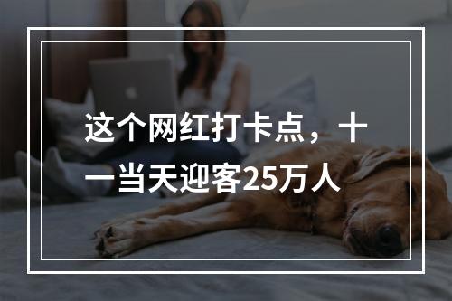 这个网红打卡点，十一当天迎客25万人