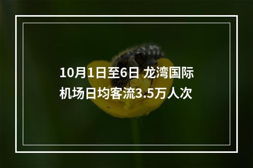 10月1日至6日 龙湾国际机场日均客流3.5万人次