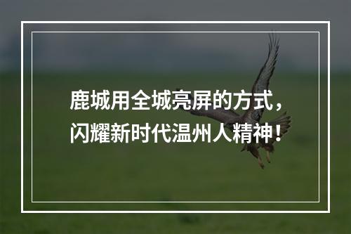 鹿城用全城亮屏的方式，闪耀新时代温州人精神！
