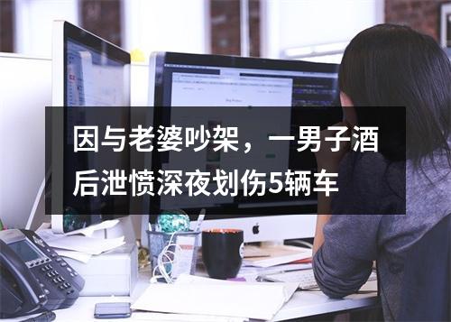 因与老婆吵架，一男子酒后泄愤深夜划伤5辆车
