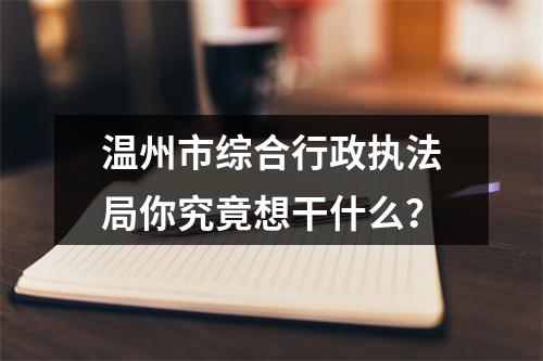 温州市综合行政执法局你究竟想干什么？