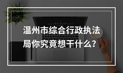 温州市综合行政执法局你究竟想干什么？
