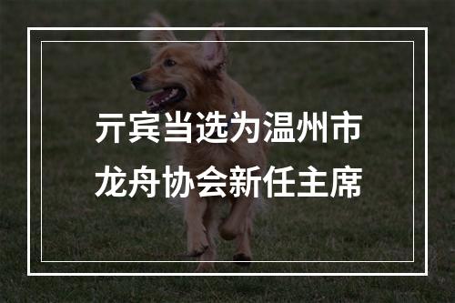 亓宾当选为温州市龙舟协会新任主席