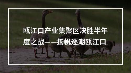 瓯江口产业集聚区决胜半年度之战——扬帆逐潮瓯江口