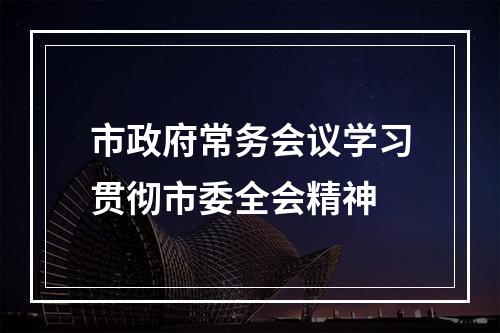 市政府常务会议学习贯彻市委全会精神
