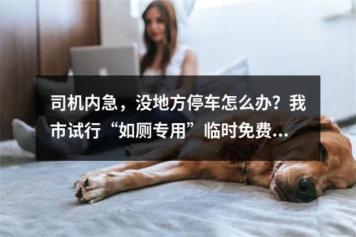 司机内急，没地方停车怎么办？我市试行“如厕专用”临时免费停车泊位