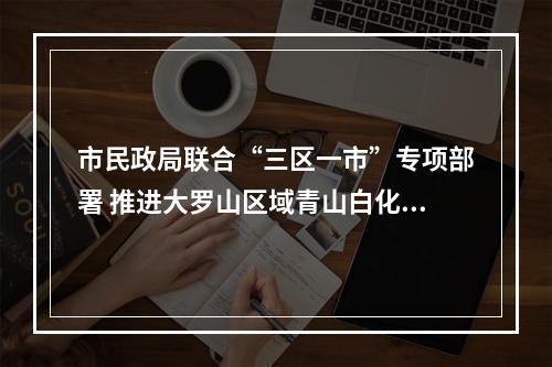 市民政局联合“三区一市”专项部署 推进大罗山区域青山白化治理