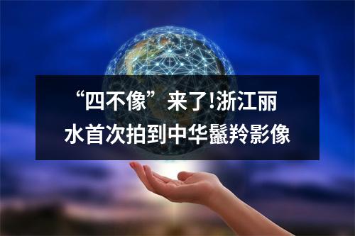 “四不像”来了!浙江丽水首次拍到中华鬣羚影像