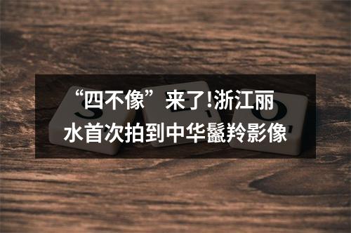 “四不像”来了!浙江丽水首次拍到中华鬣羚影像