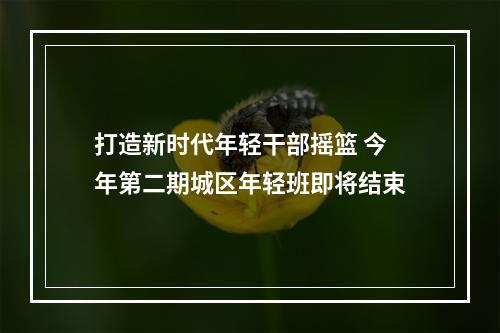 打造新时代年轻干部摇篮 今年第二期城区年轻班即将结束