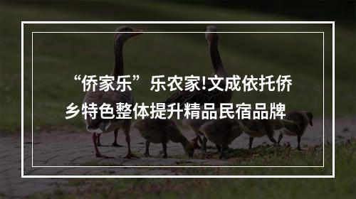 “侨家乐”乐农家!文成依托侨乡特色整体提升精品民宿品牌