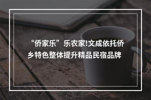 “侨家乐”乐农家!文成依托侨乡特色整体提升精品民宿品牌