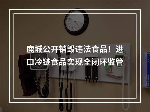 鹿城公开销毁违法食品！进口冷链食品实现全闭环监管