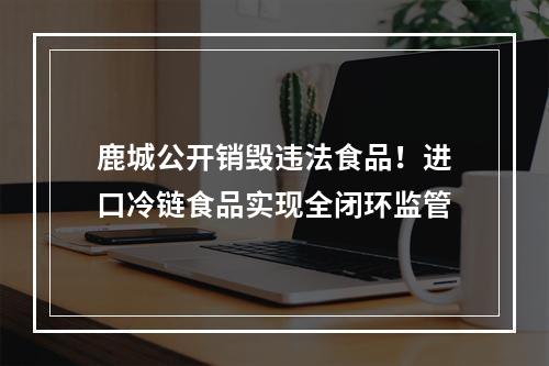 鹿城公开销毁违法食品！进口冷链食品实现全闭环监管