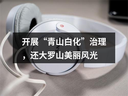 开展“青山白化”治理，还大罗山美丽风光