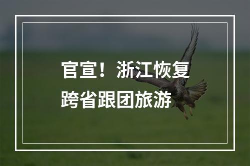 官宣！浙江恢复跨省跟团旅游