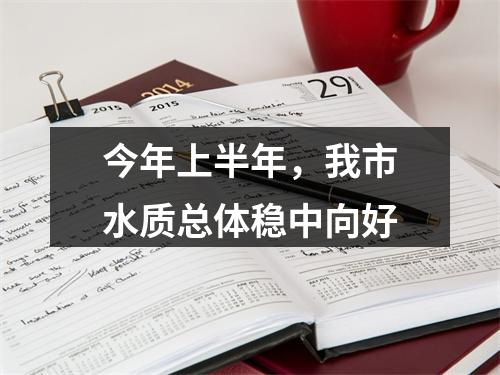 今年上半年，我市水质总体稳中向好