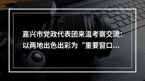 嘉兴市党政代表团来温考察交流：以两地出色出彩为“重要窗口”增光添彩