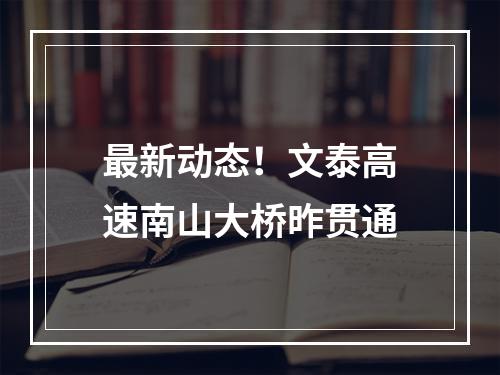 最新动态！文泰高速南山大桥昨贯通