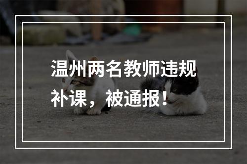 温州两名教师违规补课，被通报！