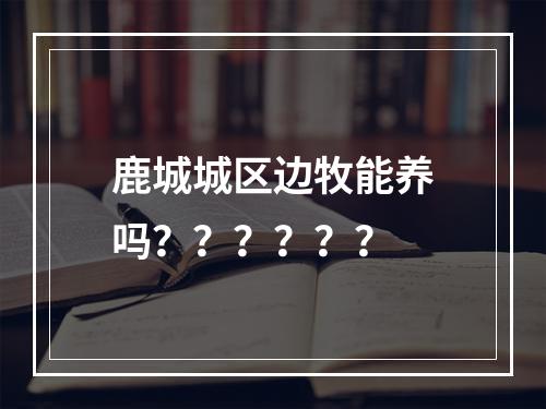 鹿城城区边牧能养吗？？？？？？