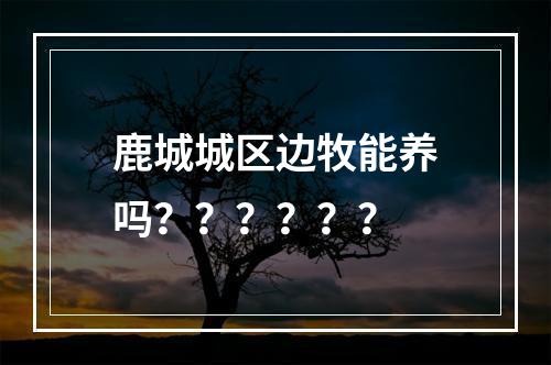 鹿城城区边牧能养吗？？？？？？