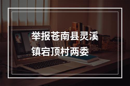 举报苍南县灵溪镇宕顶村两委