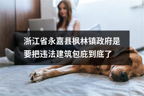 浙江省永嘉县枫林镇政府是要把违法建筑包庇到底了
