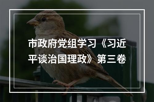 市政府党组学习《习近平谈治国理政》第三卷