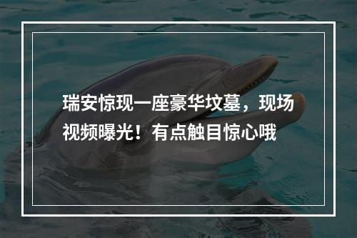 瑞安惊现一座豪华坟墓，现场视频曝光！有点触目惊心哦