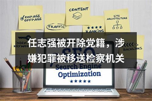 任志强被开除党籍，涉嫌犯罪被移送检察机关