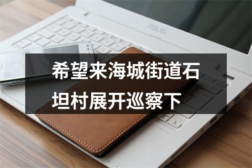 希望来海城街道石坦村展开巡察下
