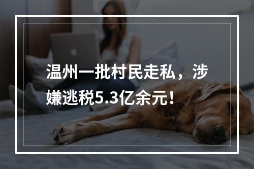 温州一批村民走私，涉嫌逃税5.3亿余元！