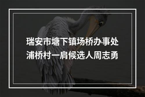 瑞安市塘下镇场桥办事处浦桥村一肩候选人周志勇
