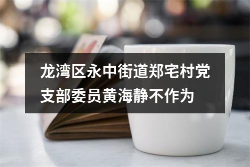 龙湾区永中街道郑宅村党支部委员黄海静不作为